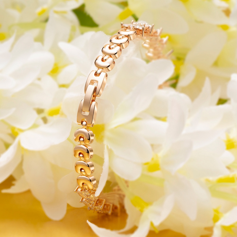 女款機械表哪個牌子好？機械女表入門主要看這三點！